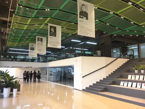 千人大场面现场观礼,东莞力嘉环保包装产业园揭幕盛典是一种怎样的体验