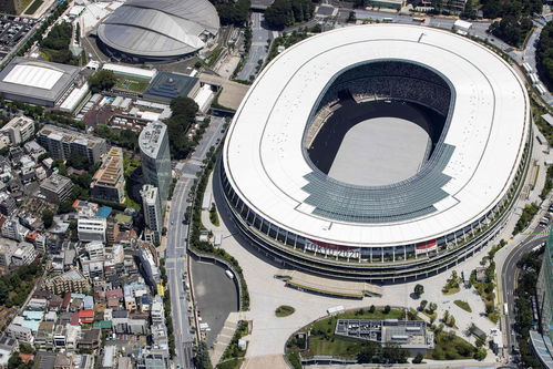 别再嘲笑纸板床了 环保 科技,东京奥运不是 一地鸡毛